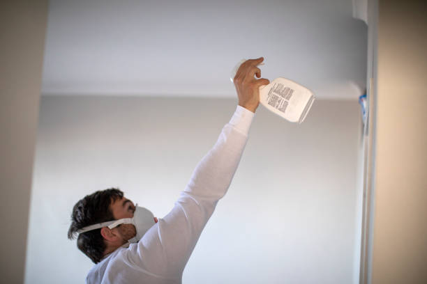 Best Mold Damage Repair  in Fairfax, IA