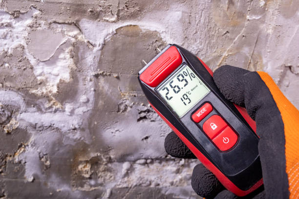 Best Water Damage Restoration  in Fairfax, IA