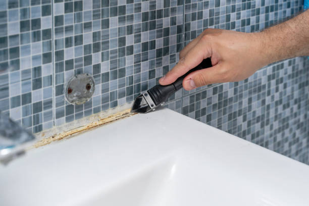 Best Office Mold Removal Services  in Fairfax, IA