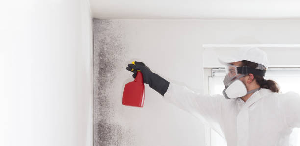 Best Mold Inspection  in Fairfax, IA